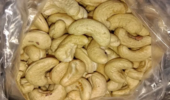 pine-nuts-benefits_large_1854_148.webp-e1731644271468