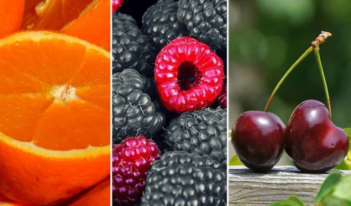 fruits_large_0908_23.webp-e1735526147926-750x441