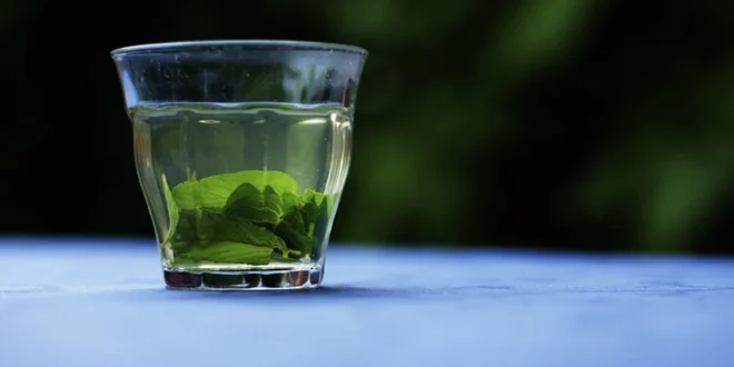 health-tips_large_1451_148.webp-e1757118865579-660x330