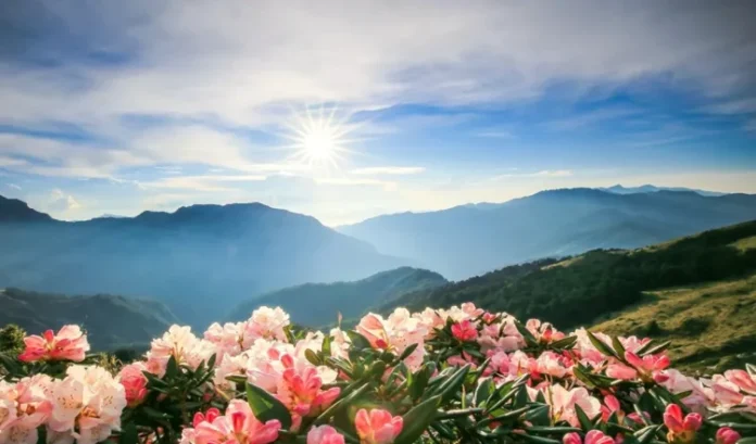 assam-hidden-places_large_1323_148.webp-e1761354125406-750x441