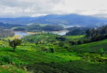 Post-Festive Weekend: त्योहारों की थकान से राहत पाने के लिए इन 3 शांत जगहों का करें अनुभव