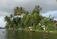 Kerala Romantic Getaways: कपल्स का नया ड्रीम डेस्टिनेशन बना केरल, हनीमून के लिए ज़रूर घूमे ये खूबसूरत रोमांटिक जगहें।