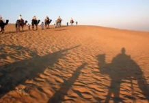 Delhi से Jaisalmer वीकेंड ट्रिप: 3 दिन में थार रेगिस्तान और रॉयल किलों की यादगार सैर