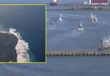 Japan में 7.4 तीव्रता का भूकंप, सुनामी की लहरों से फैली दहशत; कई इलाकों में हिलीं इमारतें