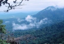 Travel Tips:गर्मी से बचना है तो घूम आइए South India के ये शानदार Hill Stations