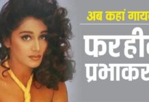 90 के दशक की मशहूर अभिनेत्री, जिन्हें कहा जाता था माधुरी दीक्षित की हमशक्ल, अब फिल्मों से दूर बिता रही शांत जीवन