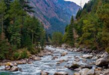 Travel Tips: आखिर क्यों ‘Mini Israel’ कहलाता है कसोल? जानिए इस खूबसूरत पहाड़ी गांव की खास पहचान