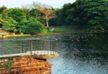Travel Guide: मिजोरम का शांत हिल स्टेशन चम्फाई, जहां मिलती है प्रकृति और सुकून की अनोखी झलक