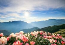 Travel Tips:दिल्ली की गर्मी से चाहिए राहत? वीकेंड ट्रिप के लिए 300 KM के अंदर ये जगहें हो सकती हैं शानदार विकल्प