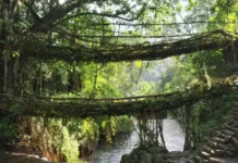 Offbeat Monsoon Destinations: बारिश में सुकून चाहिए तो Meghalaya और Arunachal के इन गांवों का करें रुख