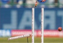 Sports News:35 रन पर ढेर हुई ऑस्ट्रिया की टीम, 8 बल्लेबाज रहे शून्य पर; तुर्की ने 33 गेंद में जीता मैच