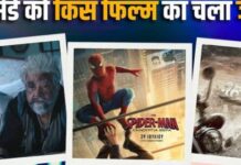 Box Office Collection: बॉक्स ऑफिस पर ‘स्पाइडर-मैन’ की रफ्तार पड़ी धीमी, ‘धमाल 4’ की हालत खराब; गुरुवार की कमाई जानें