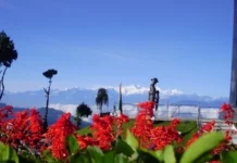 Travel Tips: कम बजट में चाहिए Switzerland जैसी खूबसूरती? भारत की ये 4 जगहें हैं परफेक्ट